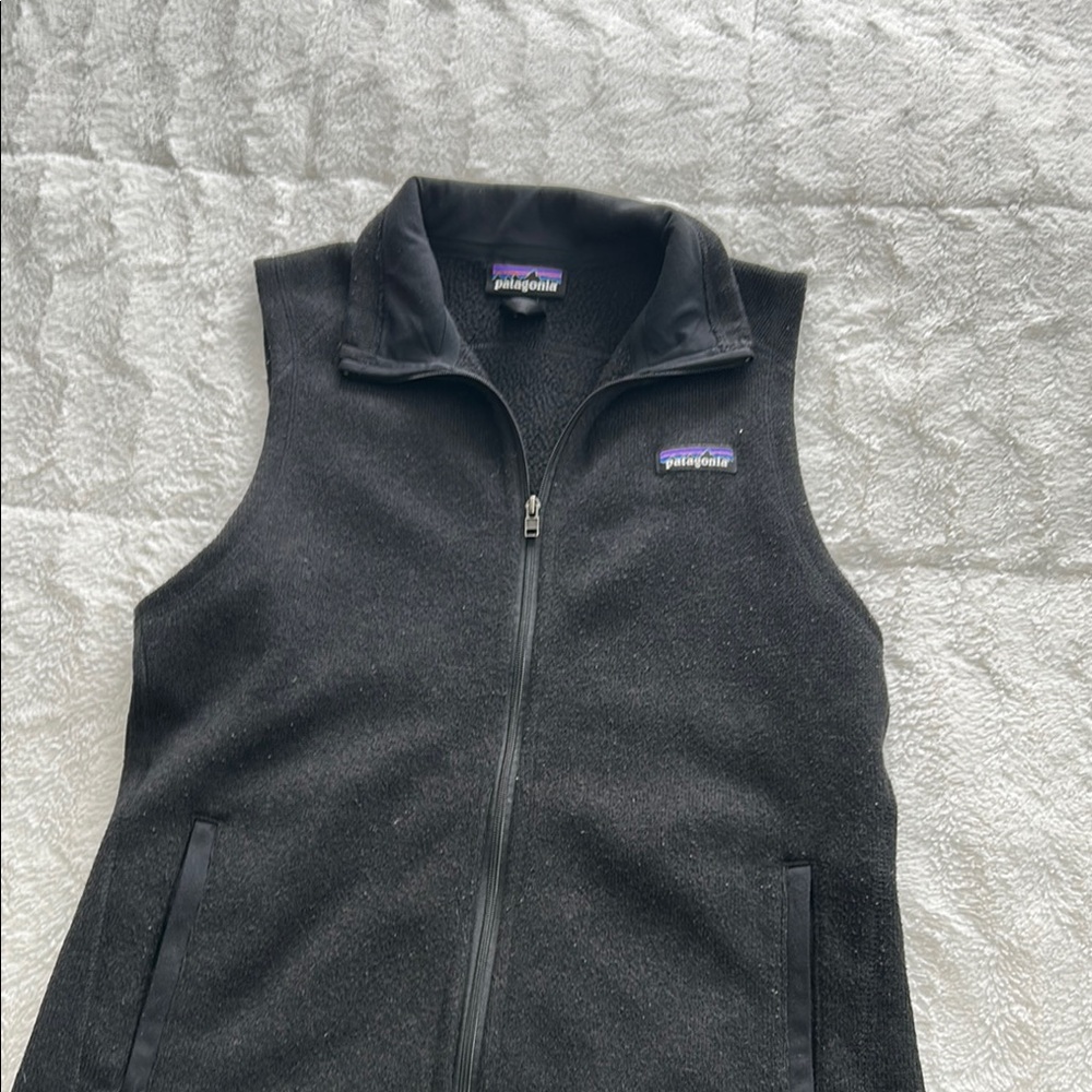 Patagonia Black Fleece Vest